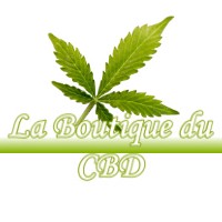 LA BOUTIQUE DU CBD OEYREGAVE 